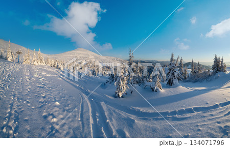 Alpine resortr ski lift with seats going over the sunrise mountain skiing freeride slopes and fir tree groves 134071796