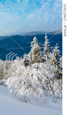 Winter mountain snowy landscape Winter mountain snowy landscape 134071835