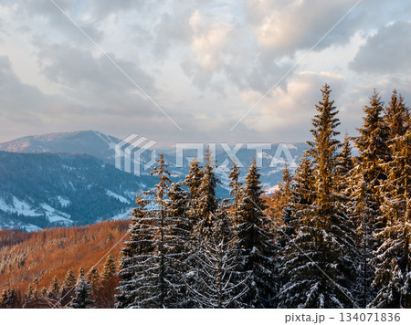 Winter twilight mountain snowy landscape Winter twilight mountain snowy landscape 134071836