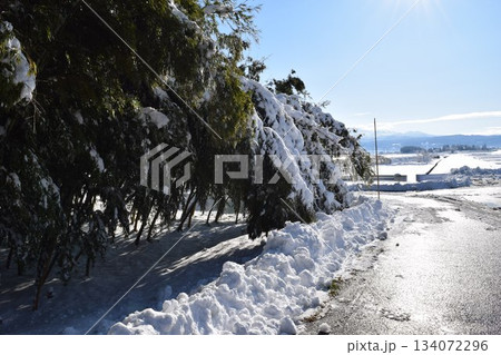 樹木に雪が着雪した風景 樹木に雪が着雪した風景 134072296