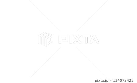 透明背景の淡いホワイト粒子オーバル背景 134072423