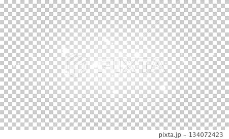 透明背景の淡いホワイト粒子オーバル背景 134072423