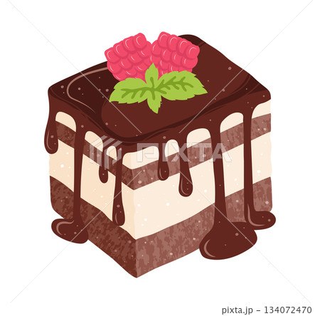 Piece of Cake with raspberry and chocolate glaze texture cartoon illustration bakery pie vector art 134072470