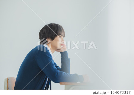 勉強する男子高校生 134073317