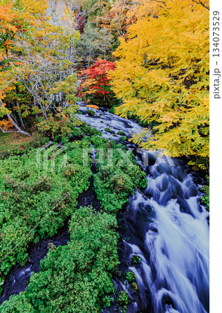 紅葉が染める阿寒の渓流風景・滝見橋より 紅葉が染める阿寒の渓流風景・滝見橋より 134073529