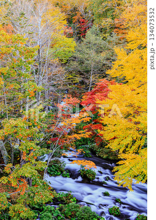 色鮮やかな紅葉と清流が織りなす阿寒湖の秋景色 色鮮やかな紅葉と清流が織りなす阿寒湖の秋景色 134073532