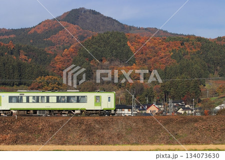 紅葉に色づく山々を背景に飯山線を走行するキハ110系気動車_2025/11/23撮影 134073630