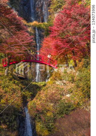 秋の紅葉に包まれた五宝の滝と赤い橋の絶景風景 秋の紅葉に包まれた五宝の滝と赤い橋の絶景風景 134073996