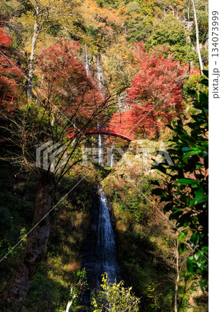 秋の紅葉に包まれた五宝の滝と赤い橋の絶景風景 秋の紅葉に包まれた五宝の滝と赤い橋の絶景風景 134073999