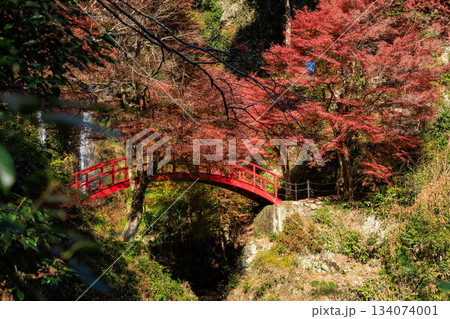 秋の紅葉に包まれた五宝の滝と赤い橋の絶景風景 秋の紅葉に包まれた五宝の滝と赤い橋の絶景風景 134074001