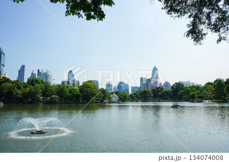 都会のオアシス:自然と調和する池のある公園風景 都会のオアシス:自然と調和する池のある公園風景 134074008