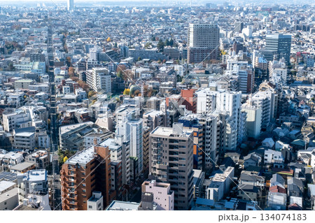 都内三軒茶屋から西方面を望む都市景観 134074183