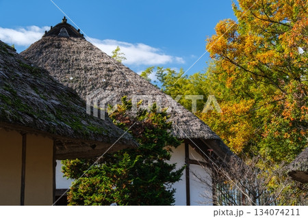 茅葺屋根と竹林 134074211