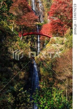 秋の紅葉に包まれた五宝の滝と赤い橋の絶景風景 秋の紅葉に包まれた五宝の滝と赤い橋の絶景風景 134074219