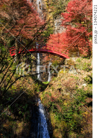 秋の紅葉に包まれた五宝の滝と赤い橋の絶景風景 秋の紅葉に包まれた五宝の滝と赤い橋の絶景風景 134074221