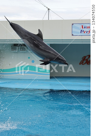 南知多ビーチランド 南知多ビーチランド 134074550