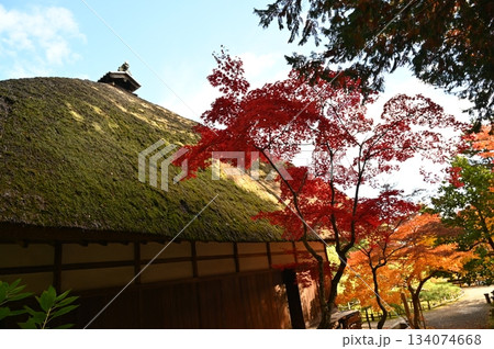 別所温泉 134074668