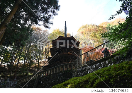 別所温泉 134074683