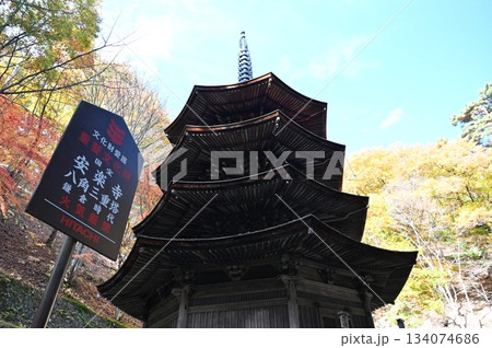 別所温泉 134074686