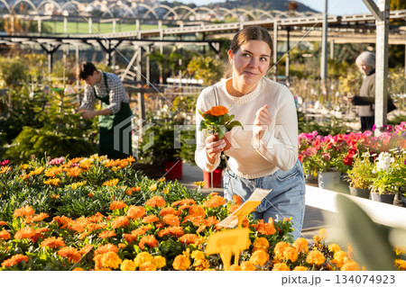 Woman choosing pots with calendula 134074923