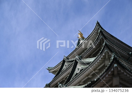 名古屋城 134075236