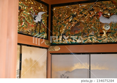 名古屋城 134075284