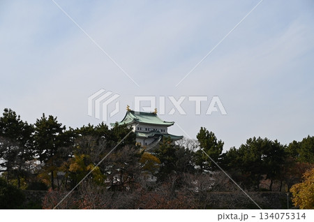 名古屋城 134075314