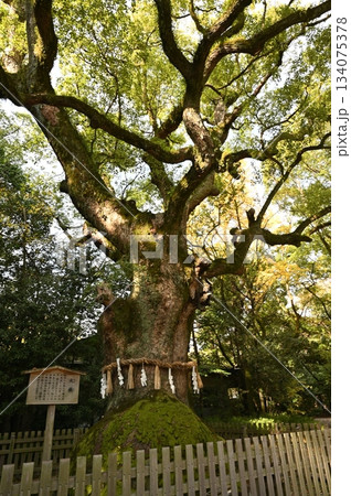 名古屋城 名古屋城 134075378