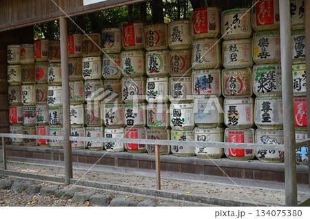 名古屋城 134075380