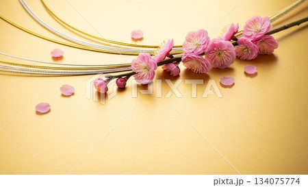 金色の和紙と梅の花、水引の背景素材（お正月、和風、年賀状） 134075774