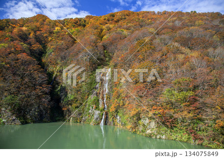 秋の赤芝峡 134075849