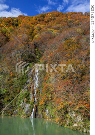 秋の赤芝峡 秋の赤芝峡 134075850