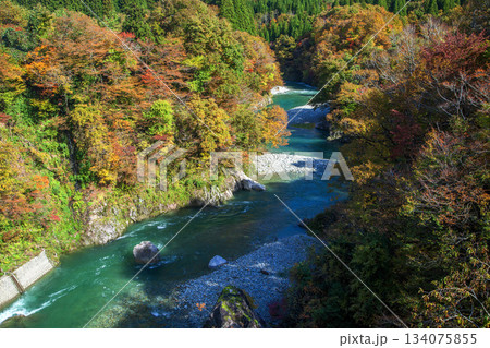 秋の清流玉川 秋の清流玉川 134075855