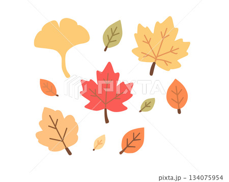 かわいい落ち葉のイラスト 134075954