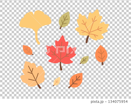 かわいい落ち葉のイラスト 134075954