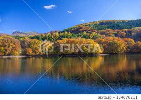 紅葉の蔵王鴫の谷地沼 134076211