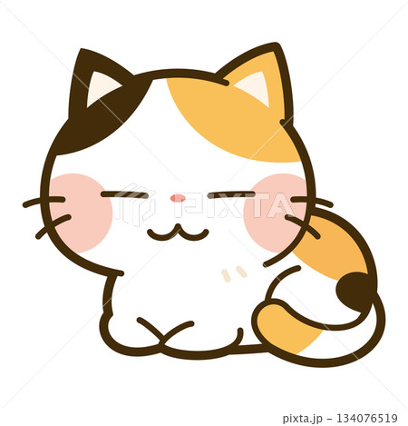 香箱座りをする三毛猫 134076519