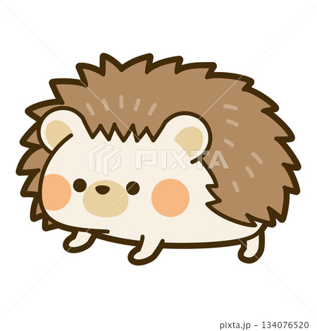 かわいいハリネズミのイラスト 134076520