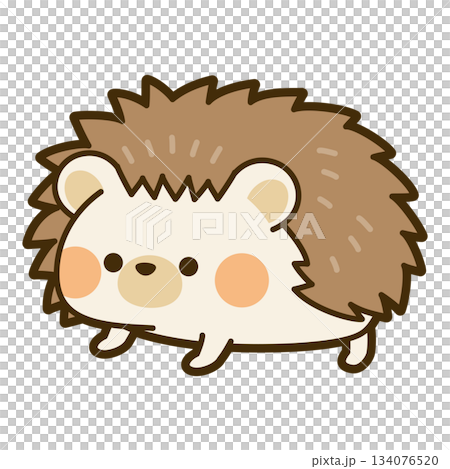 かわいいハリネズミのイラスト 134076520