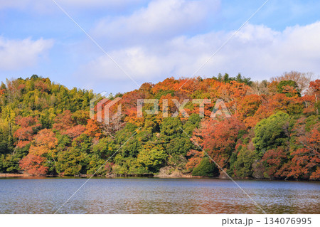 紅葉見頃な一碧湖 134076995