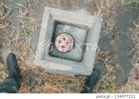 Agriculture 134077221