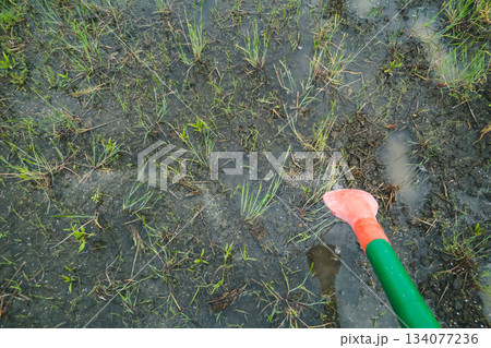 Agriculture Agriculture 134077236