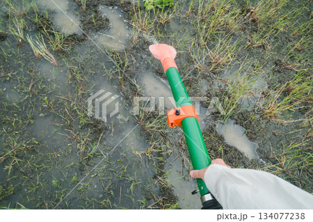 Agriculture 134077238