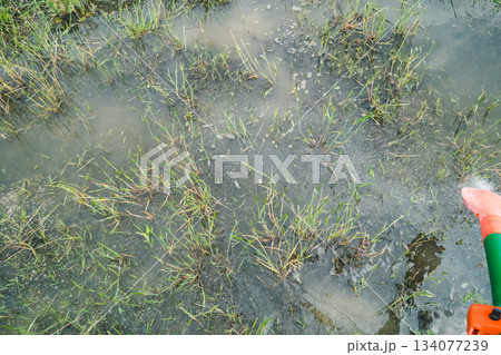 Agriculture Agriculture 134077239