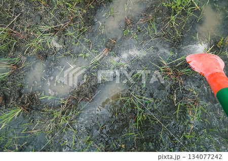 Agriculture 134077242