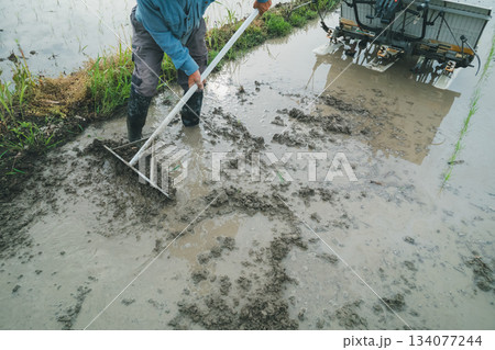 Agriculture 134077244