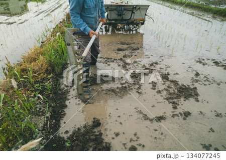 Agriculture Agriculture 134077245