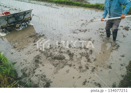 Agriculture 134077251