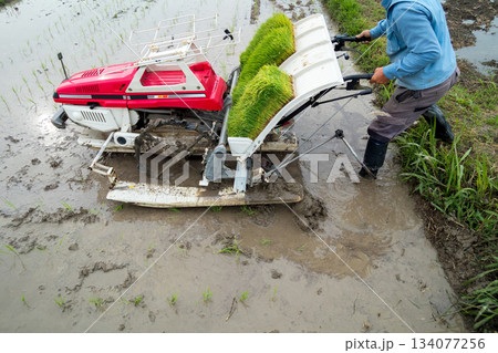 Agriculture Agriculture 134077256