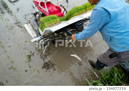 Agriculture 134077259